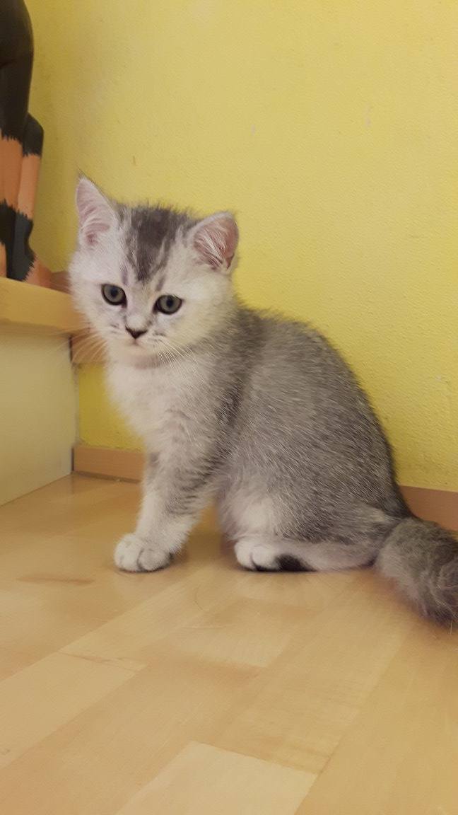 Bild ist leider im Moment nicht verfügbar